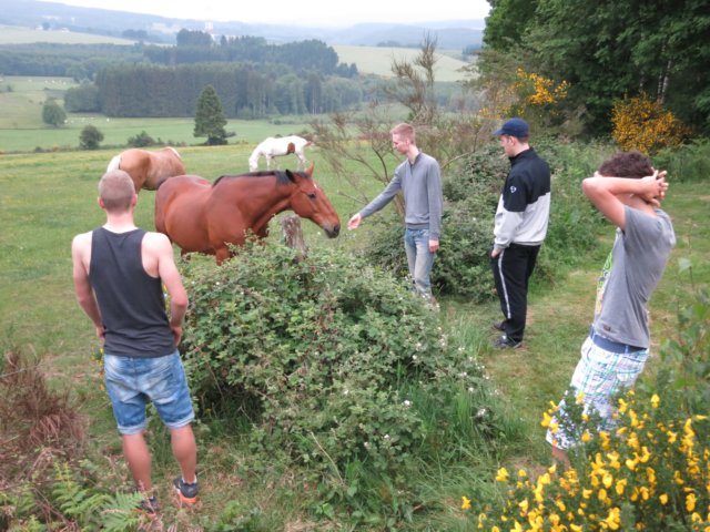 HWK Ardennes 2014 024.jpg